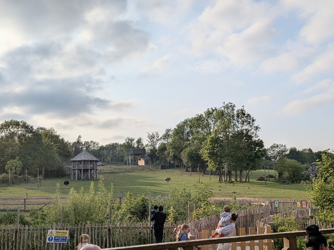 Chessington Safari Hotel主图