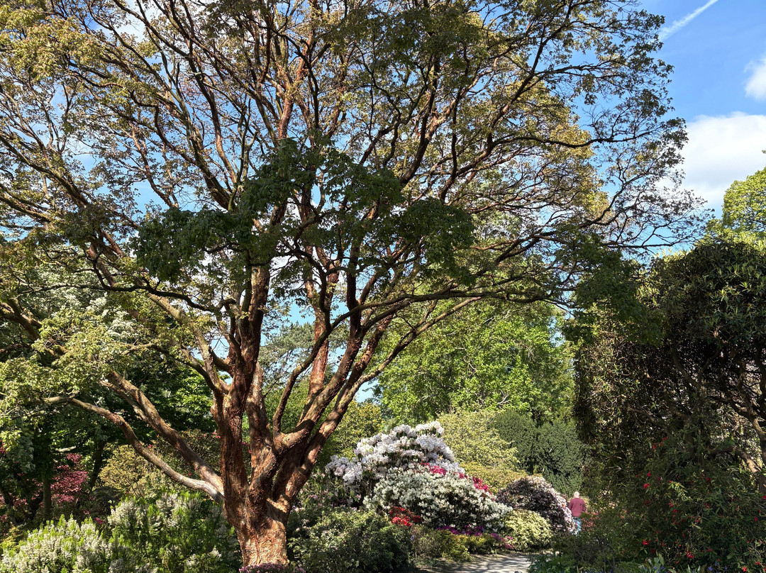 Bodnant Garden-Tal-y-Cafn必去景点