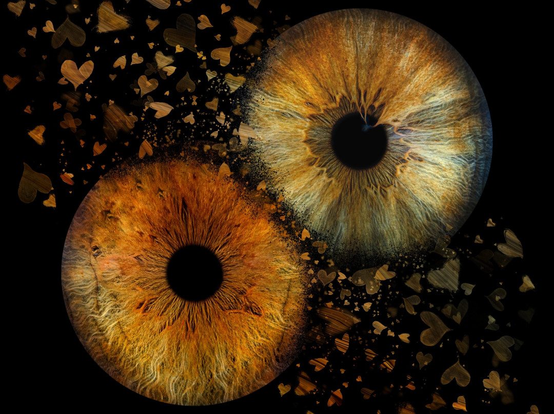 Iris Galerie Gent