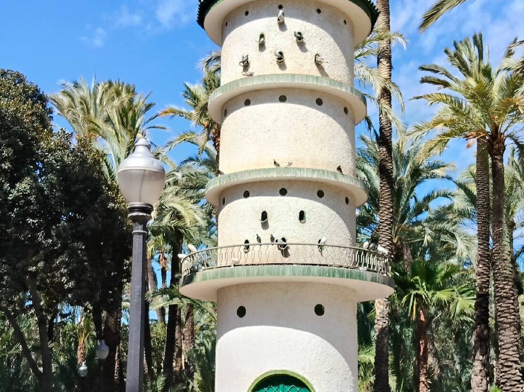 Palmeral of Elche-埃尔切必去景点