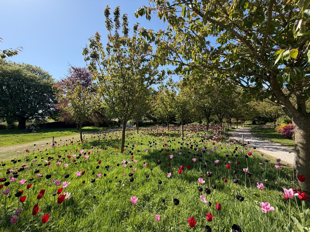 Emmetts Garden-Sevenoaks必去景点