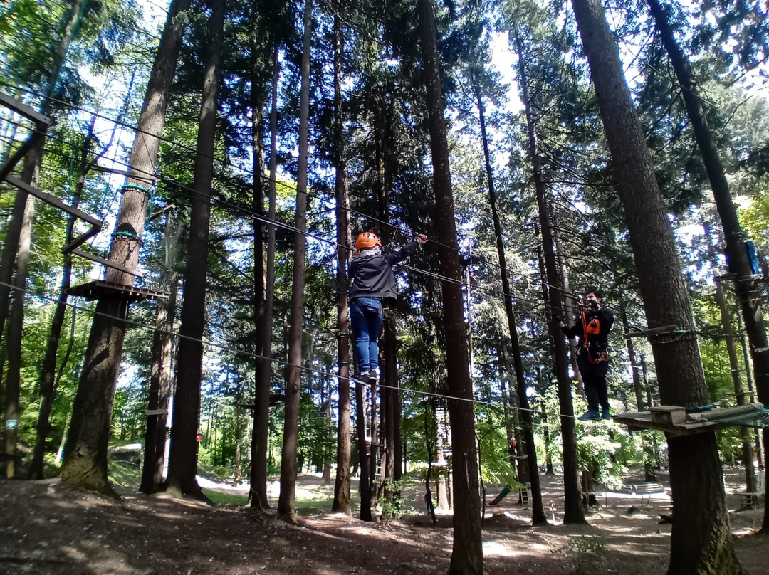 Jungle Raider Park-Albavilla必去景点
