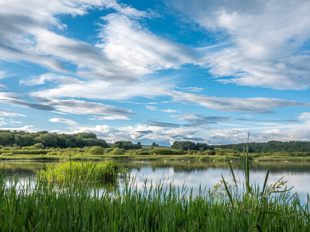 RSPB Leighton Moss Nature Reserve-Silverdale必去景点