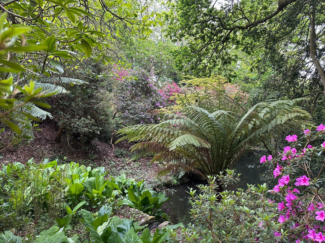 Sas Les Jardins De Kerdalo-Tredarzec必去景点