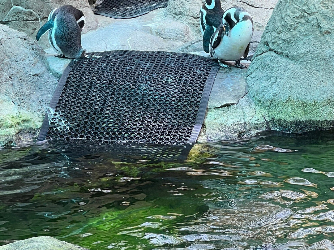 Potter Park Zoo-兰辛必去景点