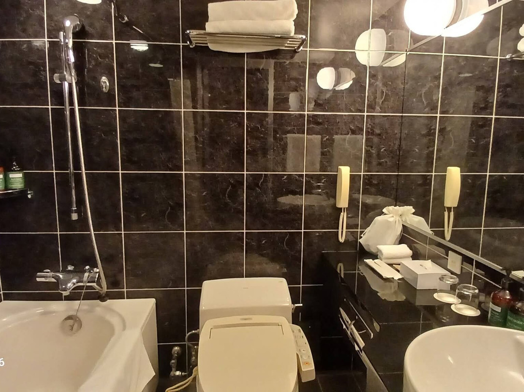 ANA Crowne Plaza 松山全日空皇冠假日酒店主图