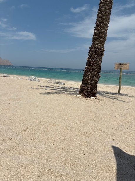 杰格希湾六善酒店-旅行者