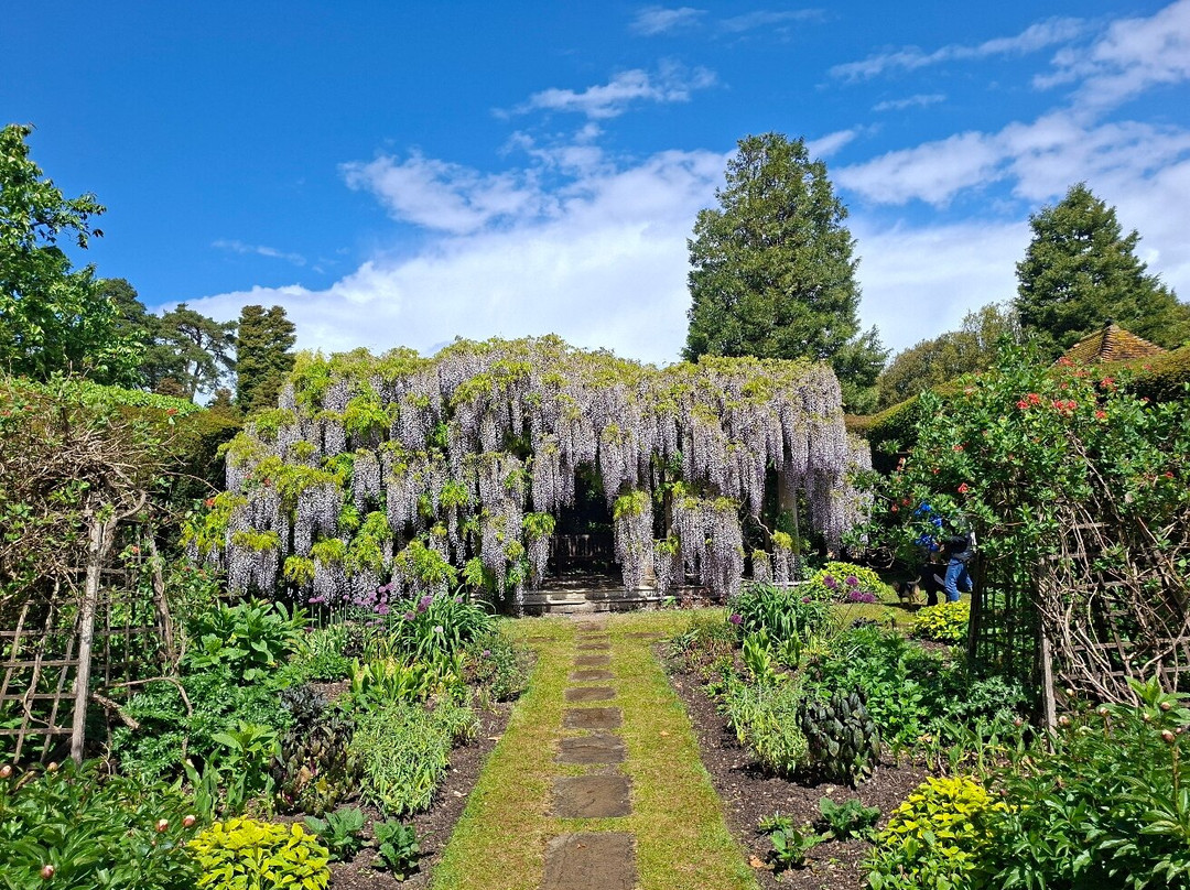 埃克斯伯里花园和蒸汽铁路-Exbury必去景点