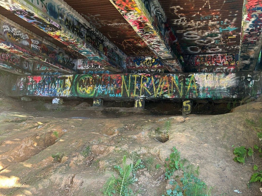 Kurt Cobain Memorial Park-阿伯丁必去景点