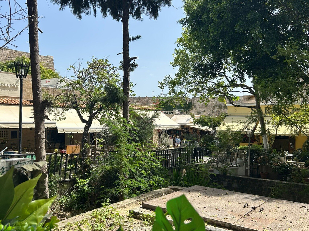 Old Town of Rhodes-罗德城必去景点