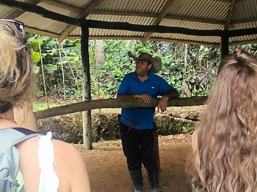 Finca Ecoorganica Sarapiqui-La Virgen必去景点