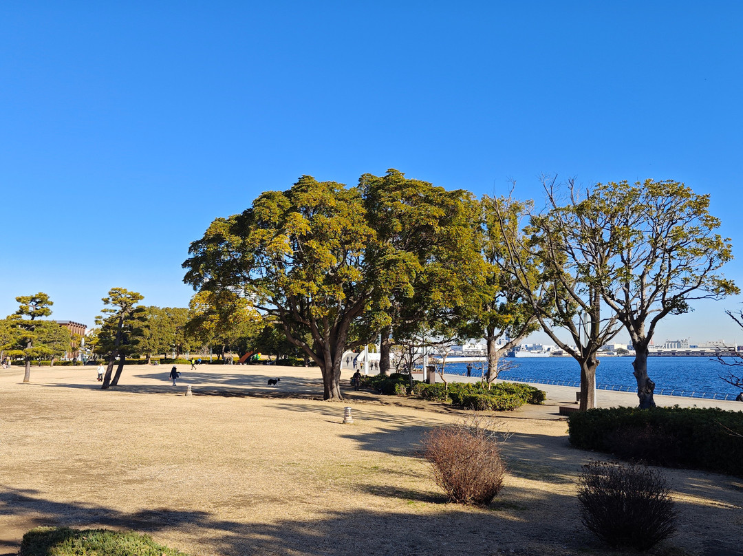 Pacifico Yokohama Rinko Park-Minatomirai必去景点