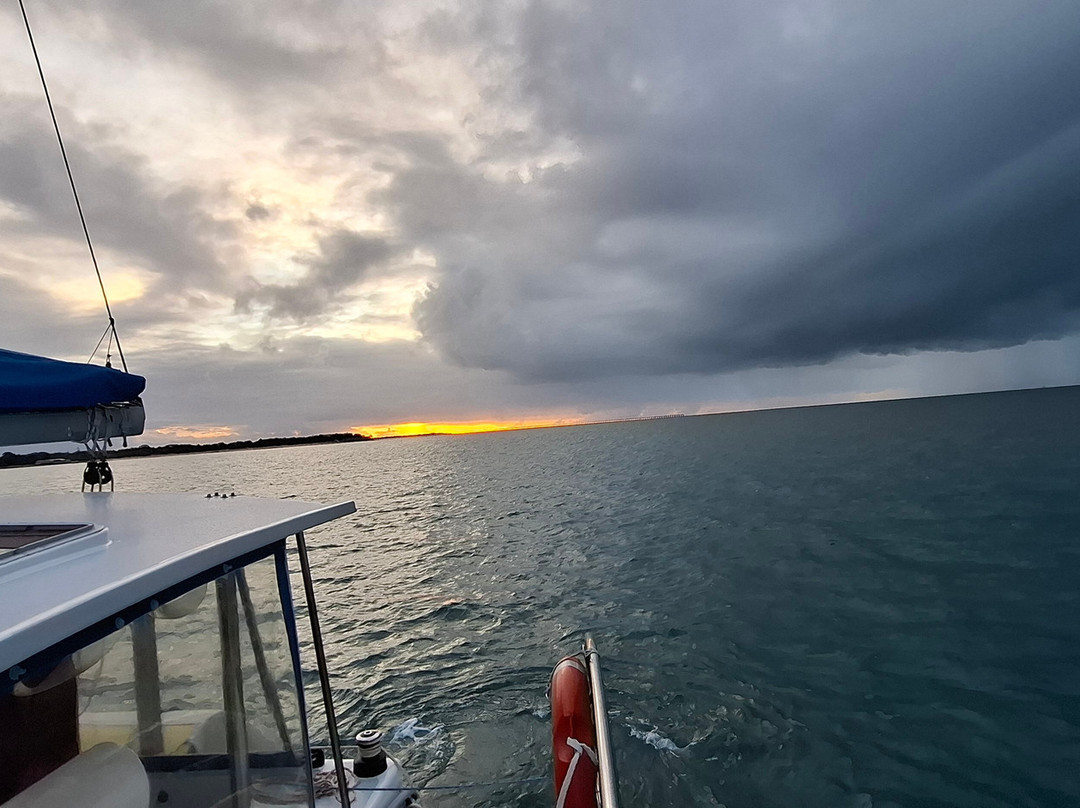 Blue Dolphin Marine Tours-尤兰根必去景点