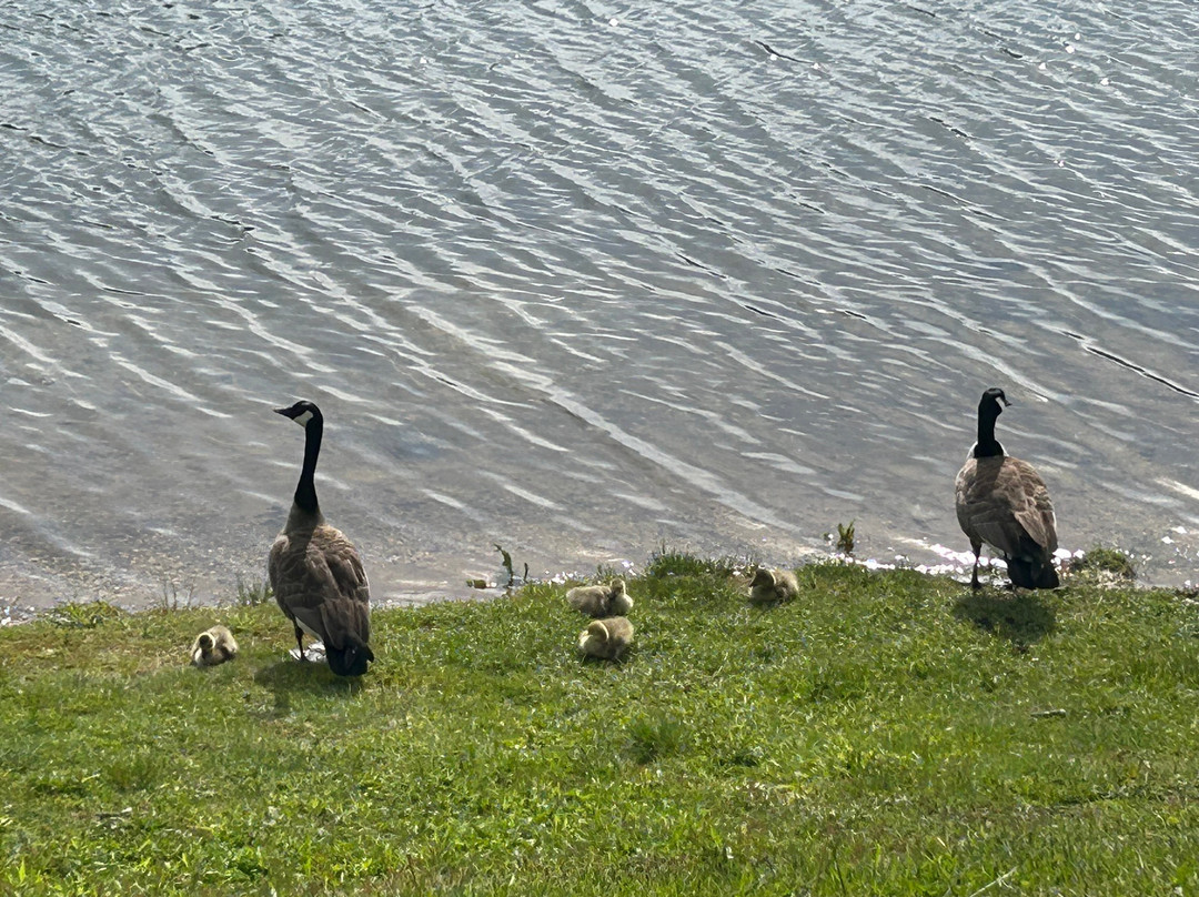 LakeFront Lodge主图