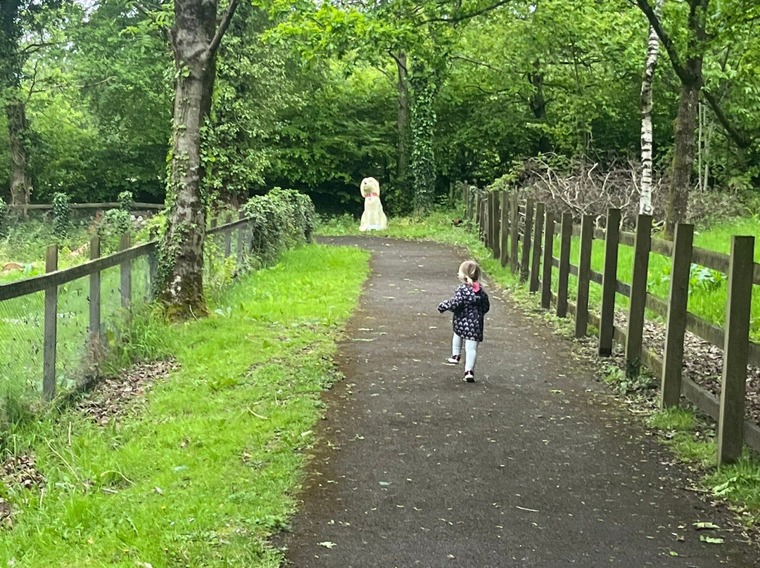 Ferne Animal Sanctuary-Chard必去景点