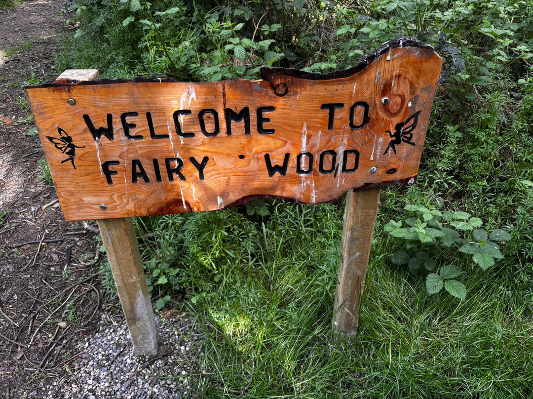 Lochore Meadows Country Park-Lochgelly必去景点