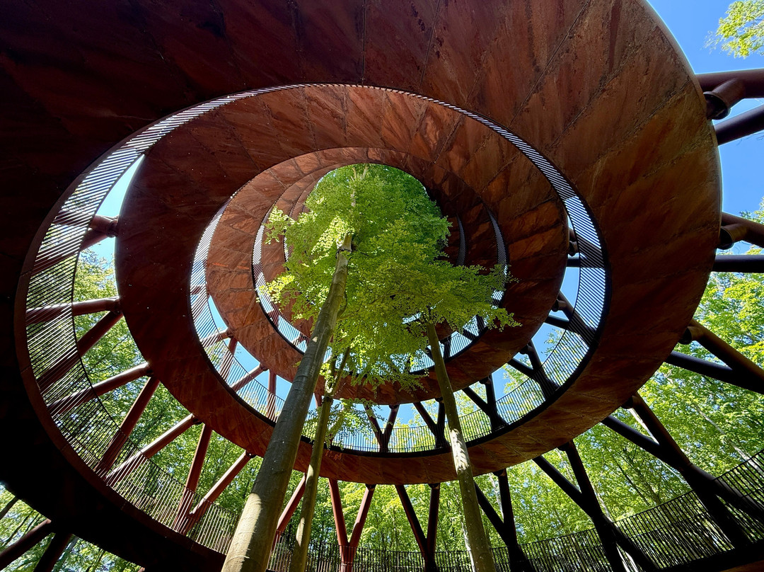 Forest Tower-Roennede必去景点
