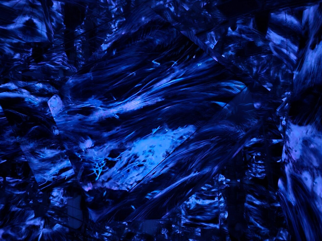 Teamlab Borderless Tokyo-港区必去景点