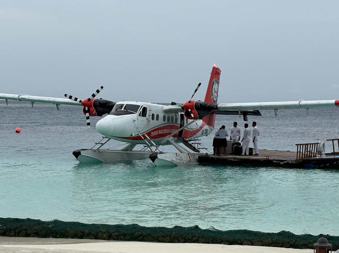 Diving Bluetribe Moofushi-南阿里环礁必去景点