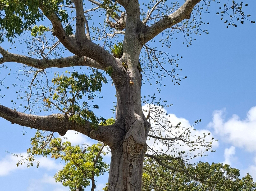 Scarborough Botanical Garden-斯卡伯勒必去景点
