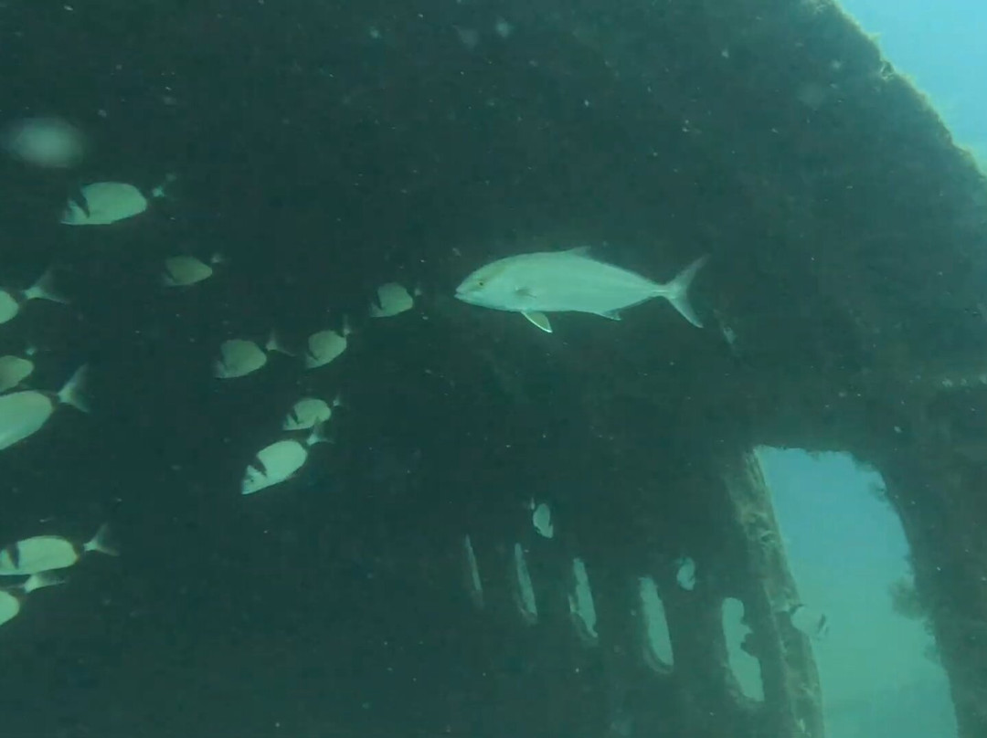 Active Blue Diving Center-库萨达斯必去景点