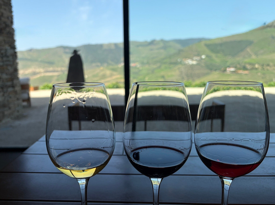 Quinta do Seixo - Sandeman-Tabuaco必去景点