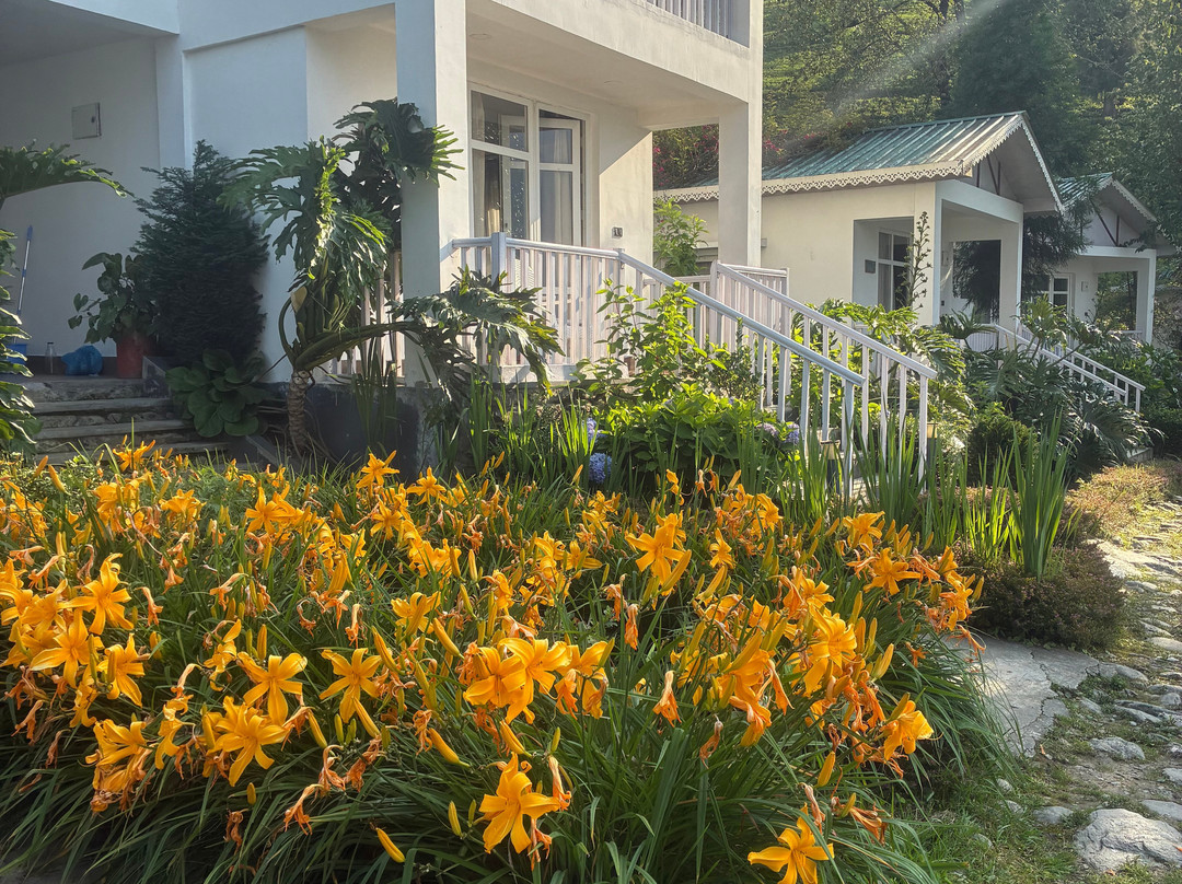 Eco Adventure Resorts the Temi Bungalow主图