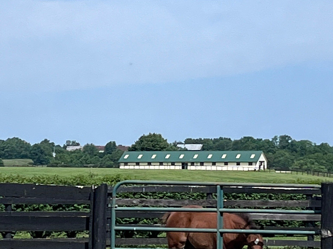 Runnymede Farm-Paris必去景点