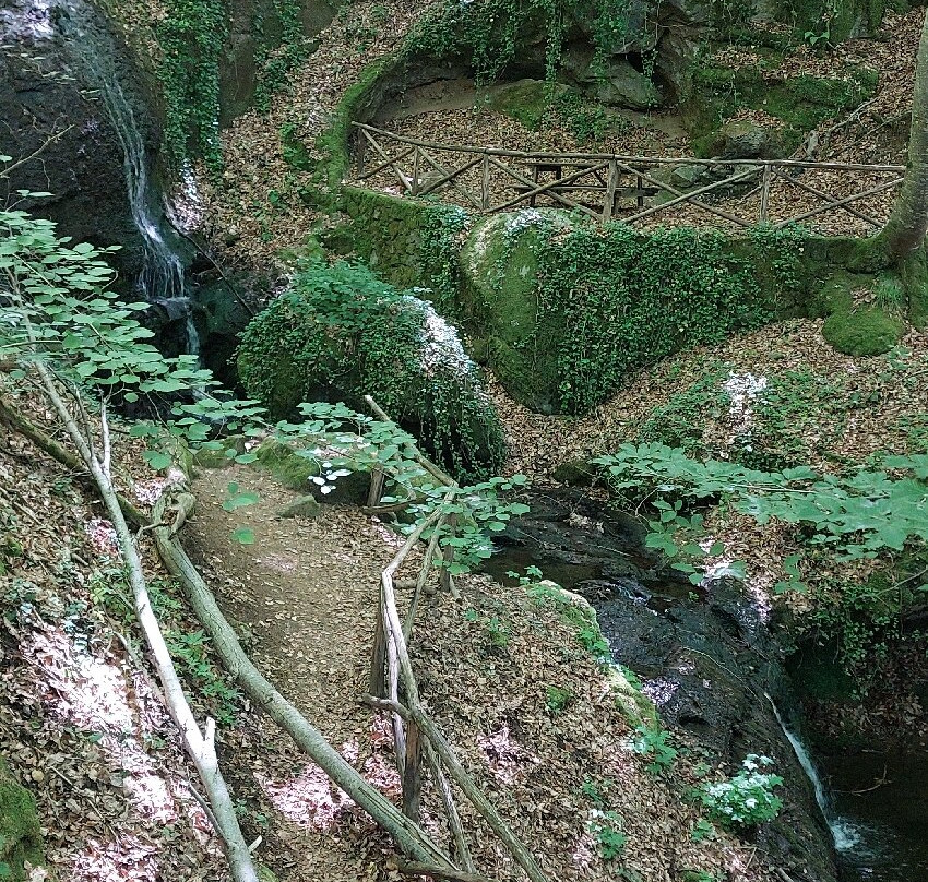 Parco Vivo Toscana-Vivo d'Orcia必去景点