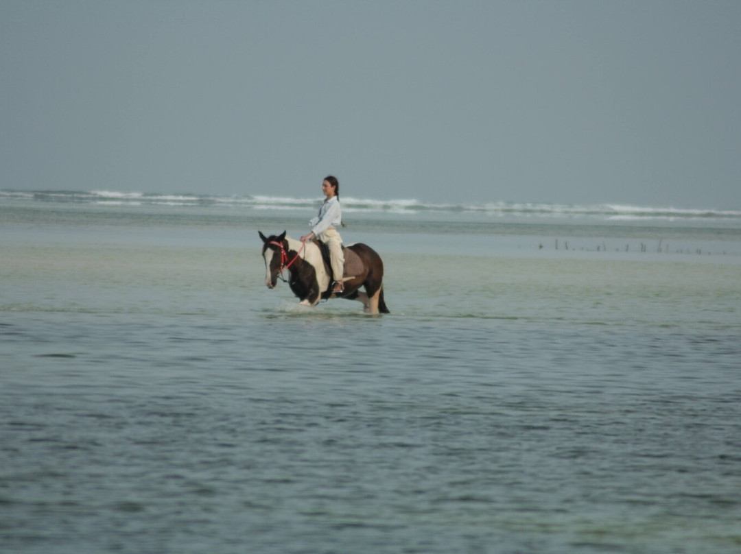 Pwani Mchangani Beach-Pwani Mchangani必去景点
