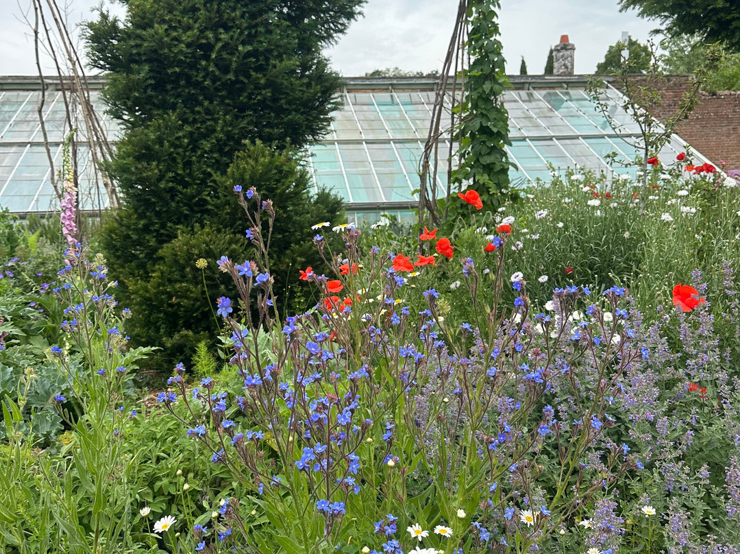Knepp Rewilded Walled Garden-West Grinstead必去景点