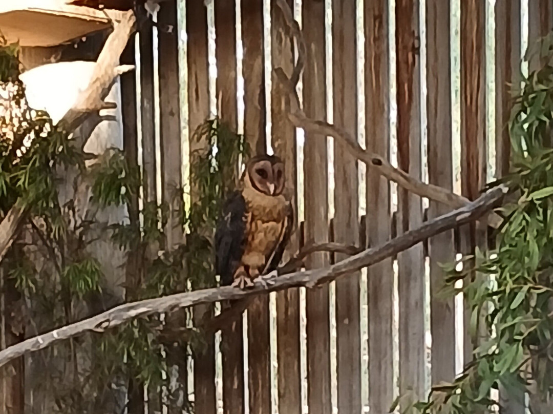 Raptor Refuge-Kettering必去景点
