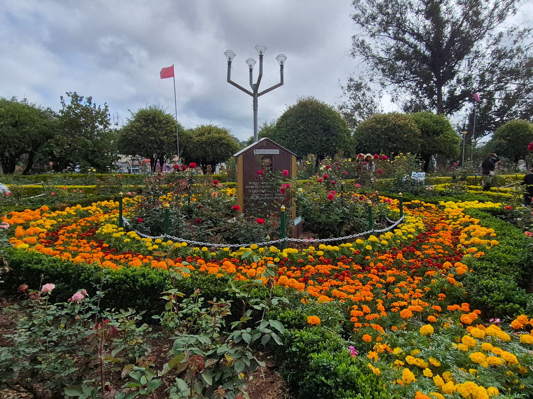 Government Rose Garden-乌提必去景点