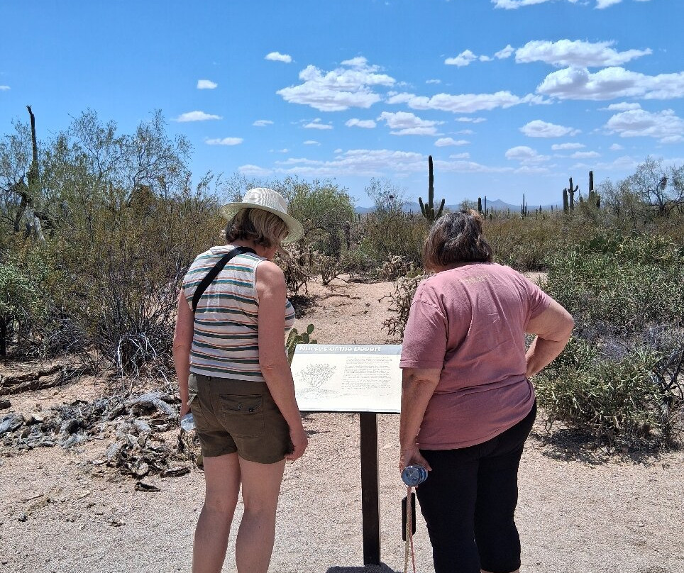 Saguaro National Park-图森必去景点