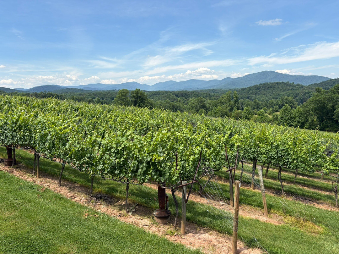 Kaya Vineyard & Winery-达洛尼加必去景点