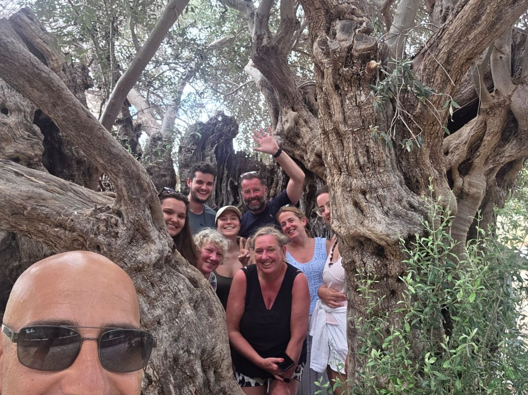 Cyprus Sunshine Safari Tours-Tala必去景点