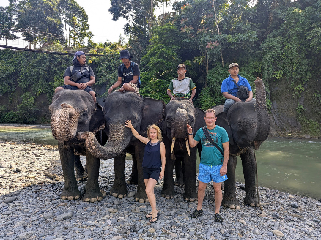 Bukit Lawang - Jungle Trekking Sumatra-武吉拉旺必去景点