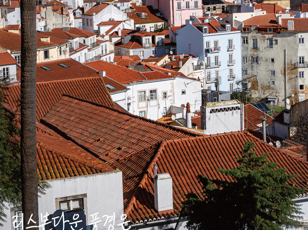 Miradouro Das Portas Do Sol-里斯本必去景点