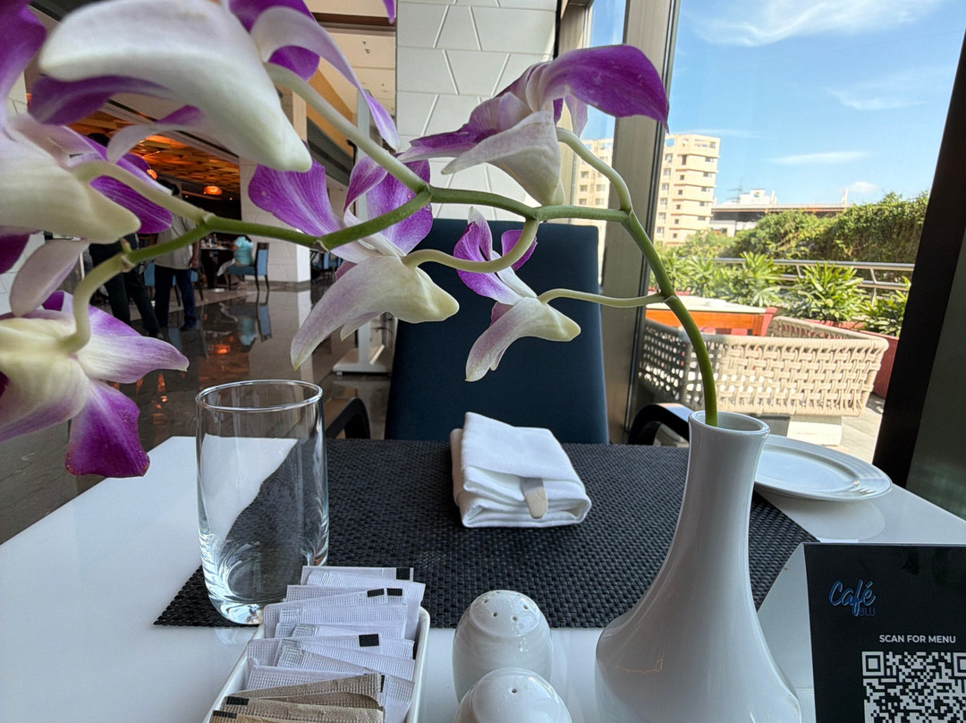 浦那辛吉瓦蒂丽笙酒店主图