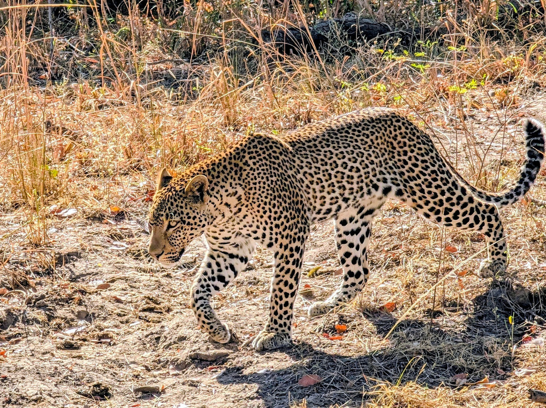 Msandile River Lodge主图