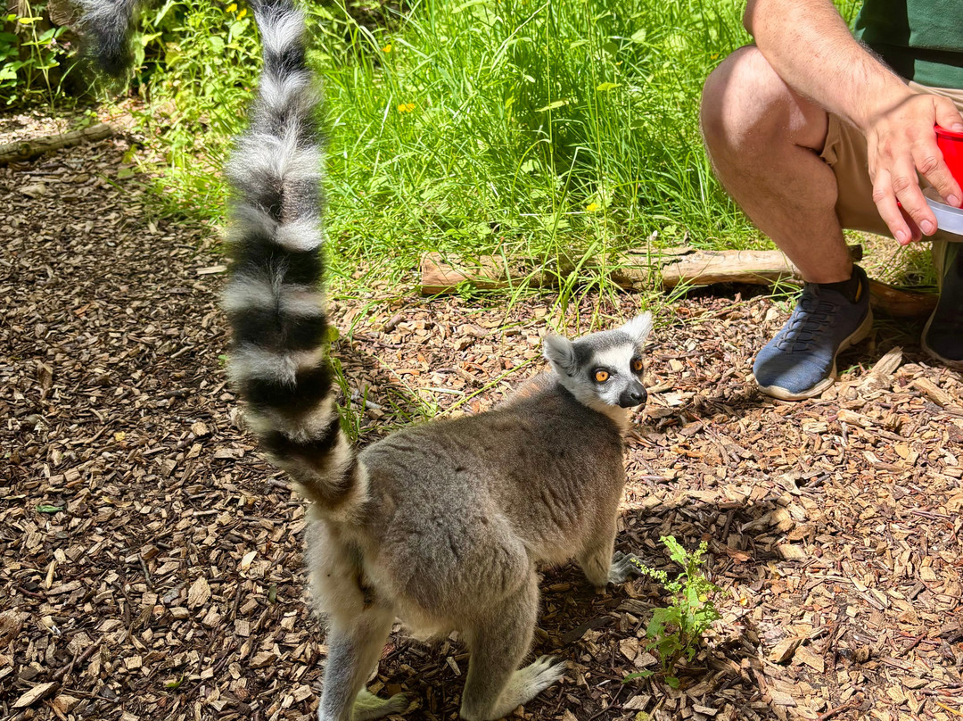 Exotic Zoo Wildlife Park + Natural History & Dino Museum-特尔福德必去景点