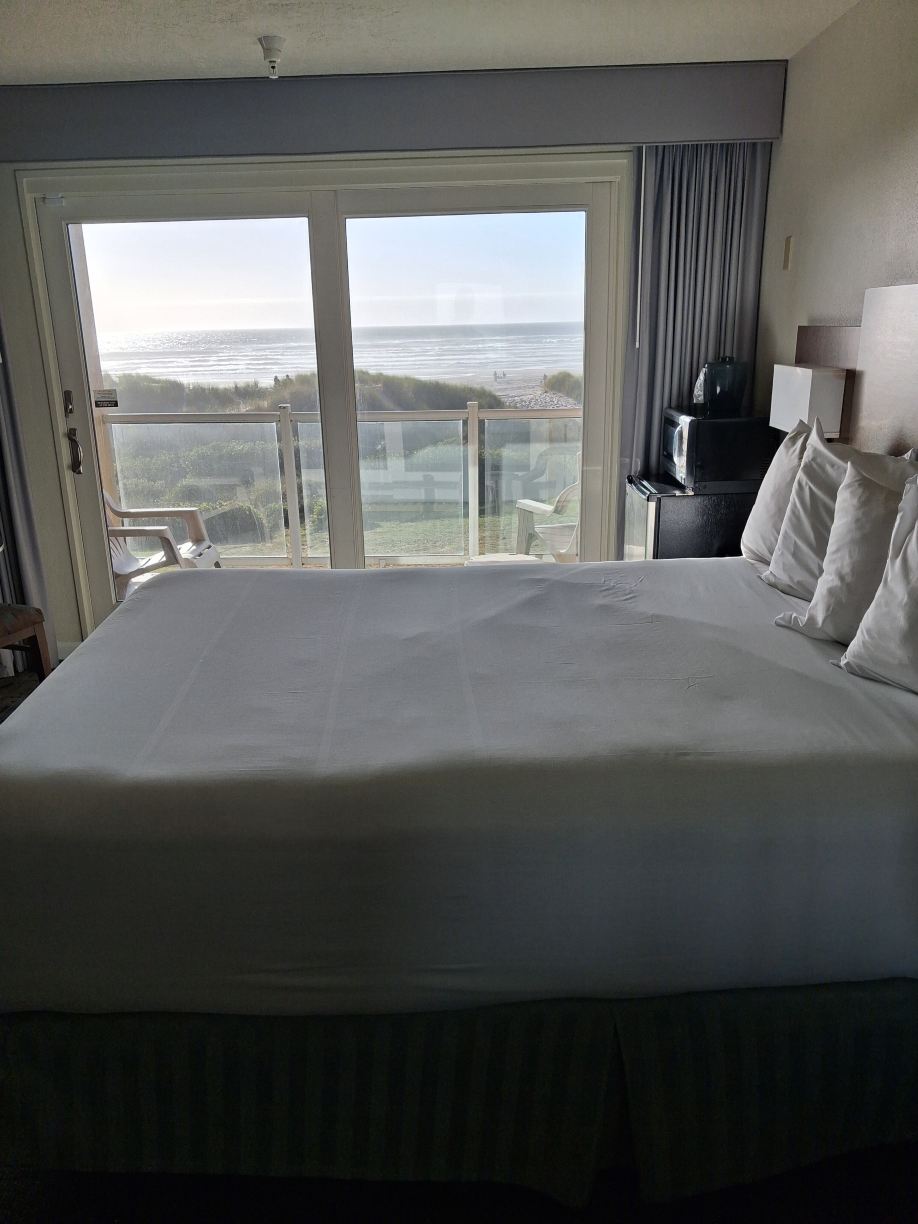 浮木海岸度假酒店-旅行者