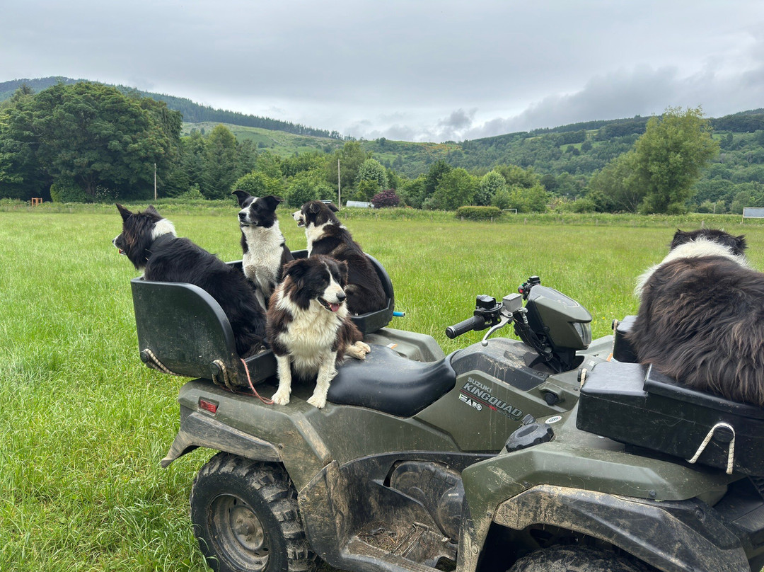 Lurgan Farm-Aberfeldy必去景点