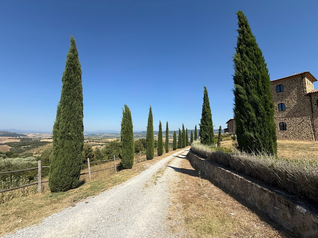 Podere Montale Winery-Seggiano必去景点