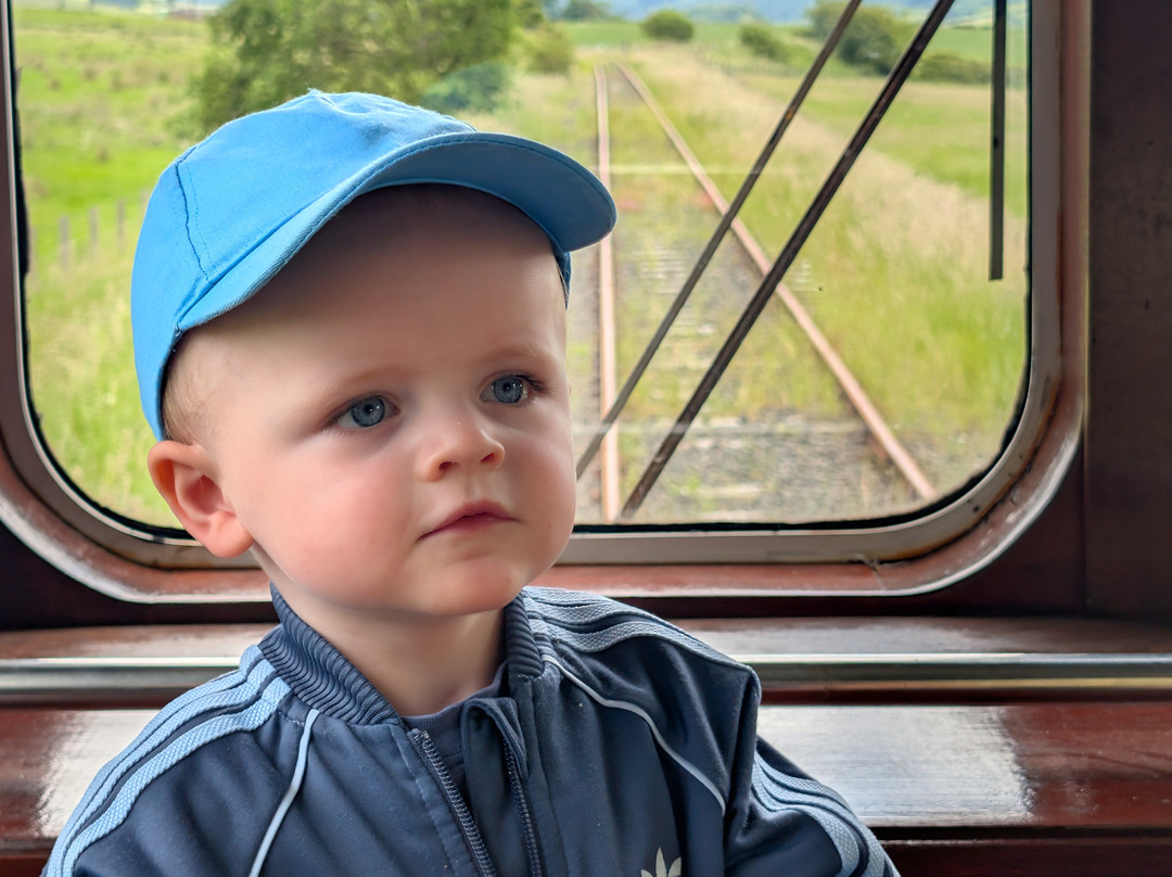 Doon Valley Railway-艾尔必去景点