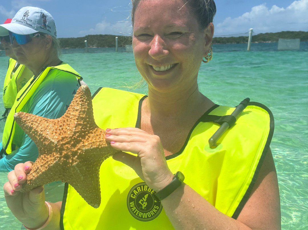 Sting ray Adventure-Little San Salvador Island (Half Moon Cay)必去景点