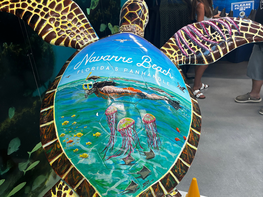 Navarre Beach Sea Turtle Conservation Center-纳瓦拉必去景点