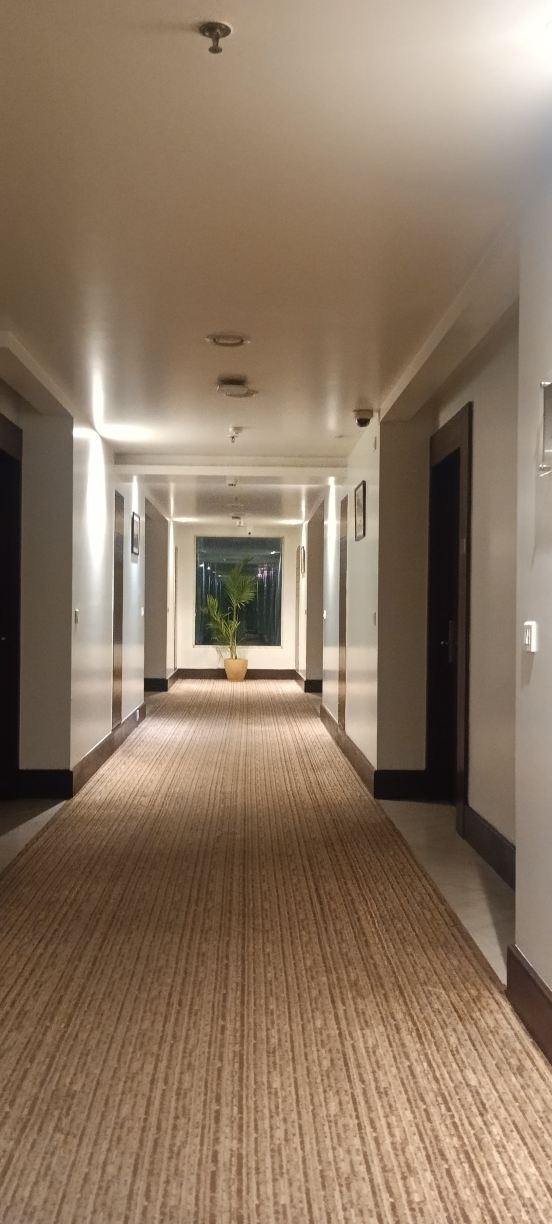 斯塔普拉万寿菊酒店-旅行者