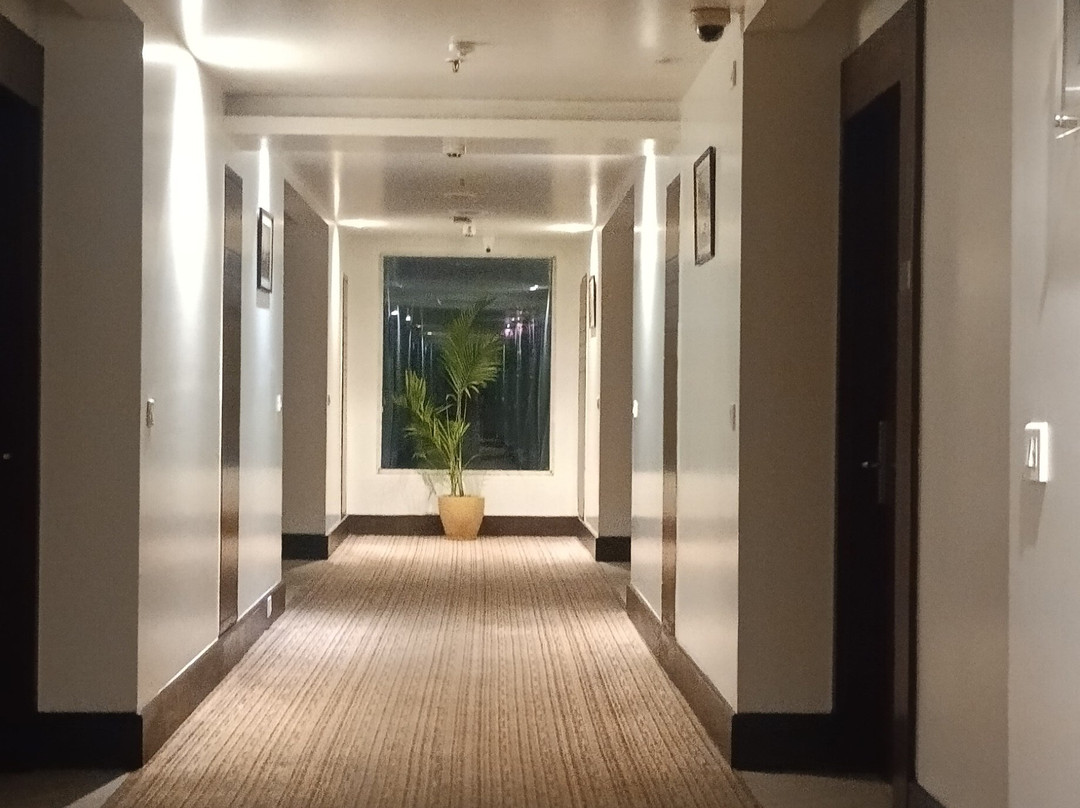 斯塔普拉万寿菊酒店主图