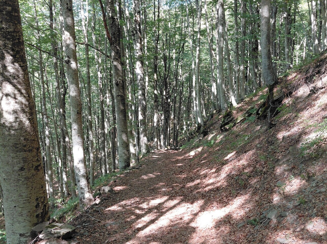 Cascate del Dardagna-Lizzano in Belvedere必去景点